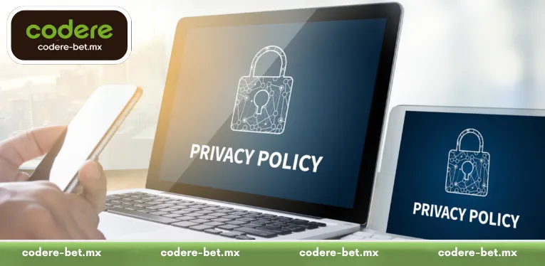Adhering to Regulations and Implementing Top Data Security Standards