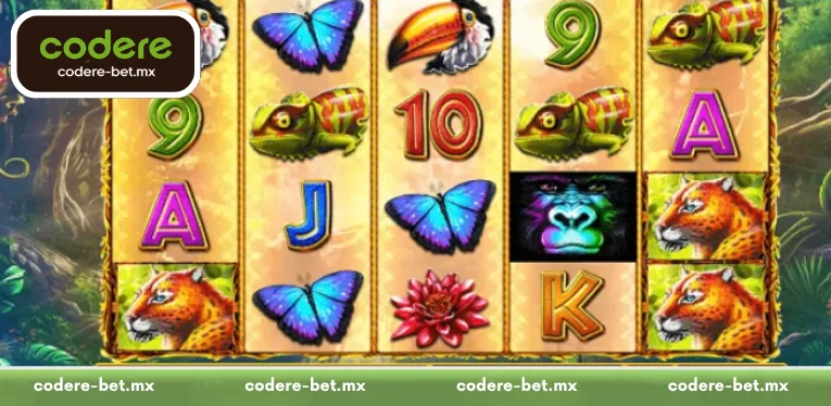 An Overview of Savage Jungle at Codere