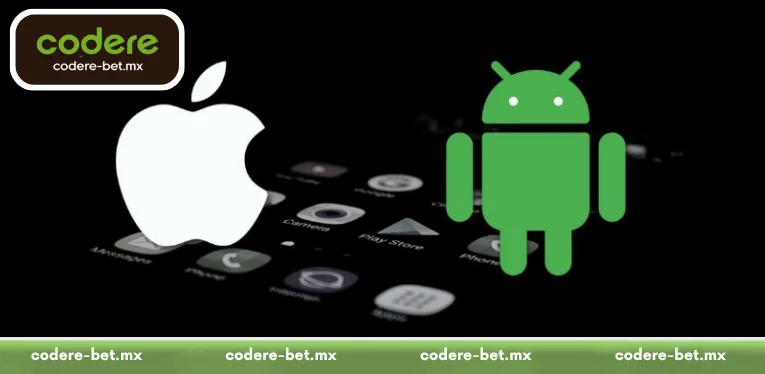 Notes when installing the Codere app