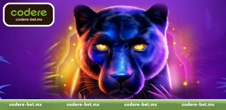 Overview of Panther Pays at Codere