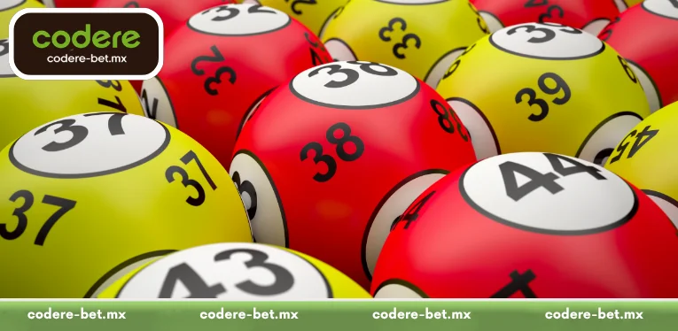 Segments of Bingo Promotional Campaigns