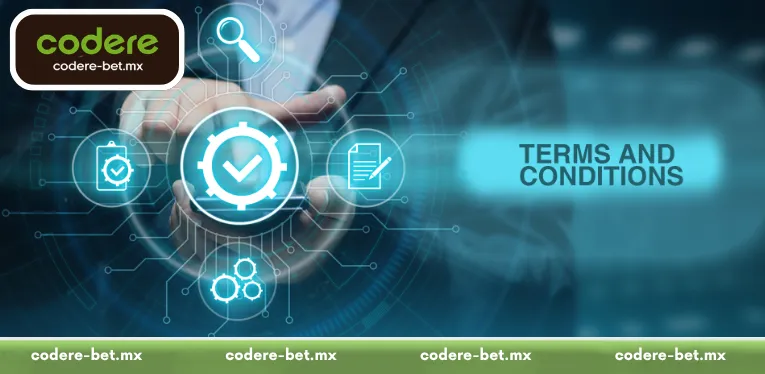 Terms and Conditions: Ensuring Fair Gaming at Mexico