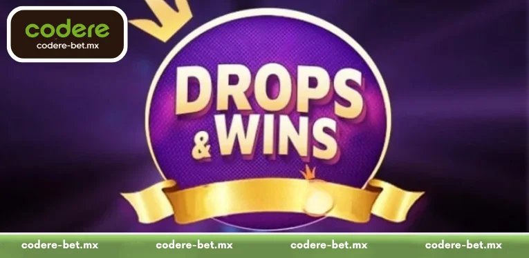 Understand the Drops and Wins promotion program