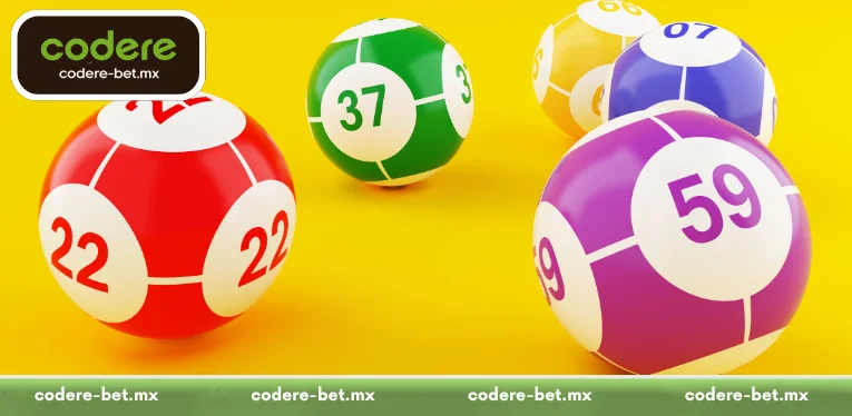 Understanding Bingo Magico